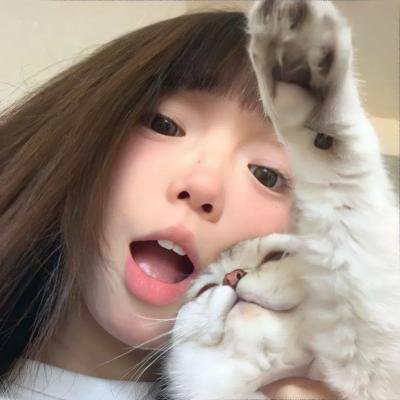 军火狗
